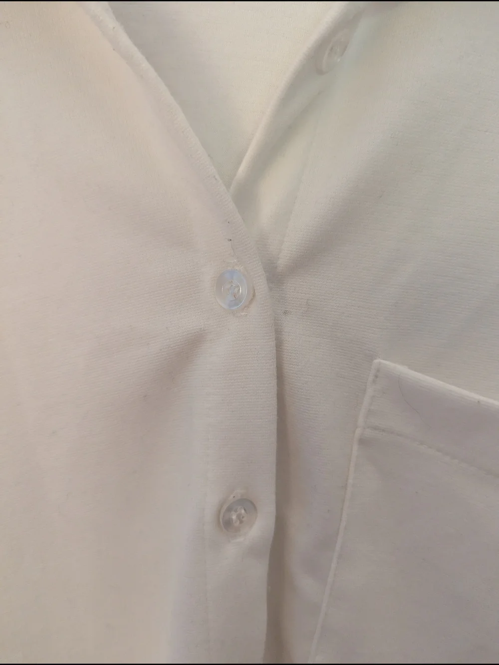 Made In Canada Button Down - Picture 3 of 8